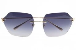 Occhiali Da Sole FOR ART'S SAKE Serpent II SF007BK Glasant