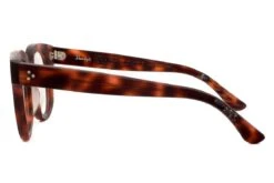 Occhiali Da Vista DANDY'S Serious Monkey Rough Pezzo Unico 4 10 Occhiali Da Vista DANDY'S Serious Monkey Rough Pezzo Unico 4 -Negozio al dettaglio Stylottica occhiali da vista dandy s serious monkey rough pezzo unico 4 2